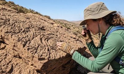 Geóloga Rowan Martindale examinando rocha com textura de pele de elefante em Marrocos, evidenciando fósseis de vida antiga em oceanos profundos.